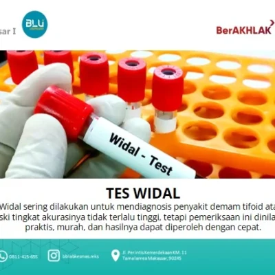 tes widal tifus