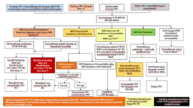 tata laksana tuberculosis