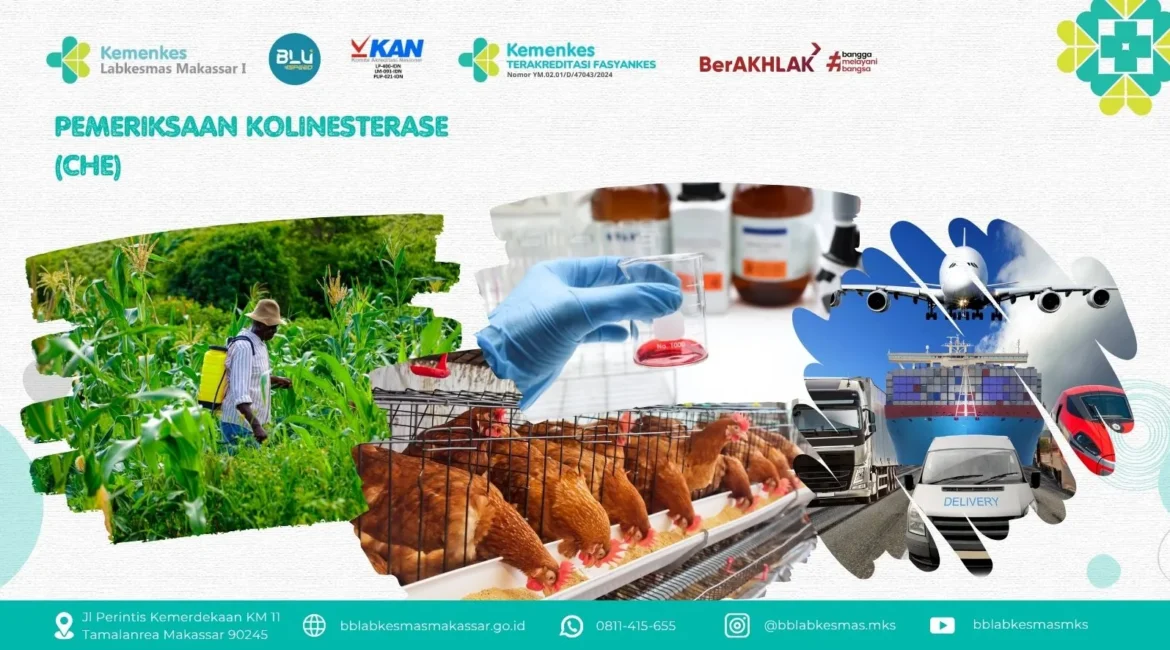 Pemeriksaan Kolinesterase