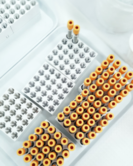 ilustrasi biorepositori