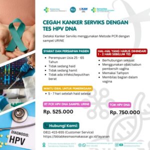 Paket HPV DNA